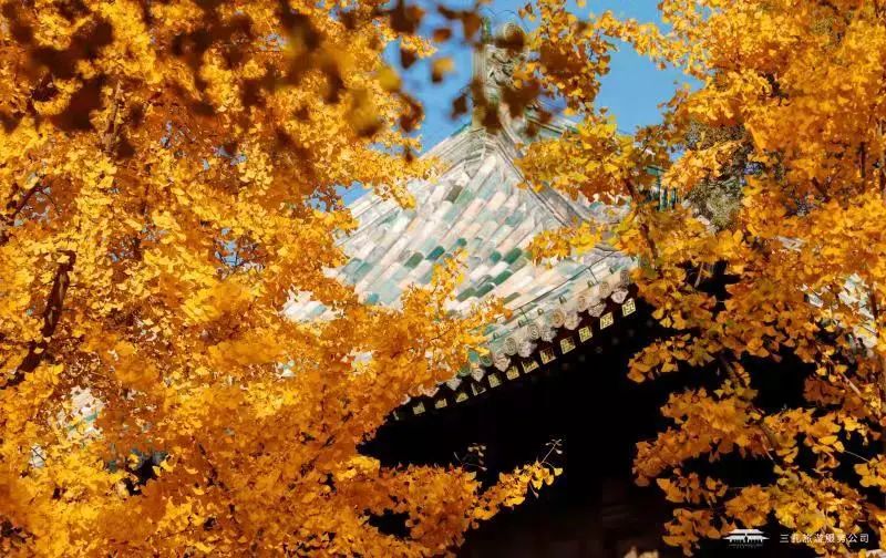 繽紛三孔 | 多彩秋日游，享受視覺盛宴！一起“趣”三孔吧