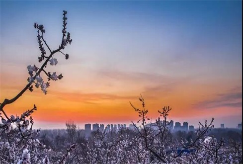 關(guān)于中央、省、市出臺(tái)的促進(jìn)企業(yè)復(fù)工復(fù)產(chǎn) 政策及主要內(nèi)容解讀