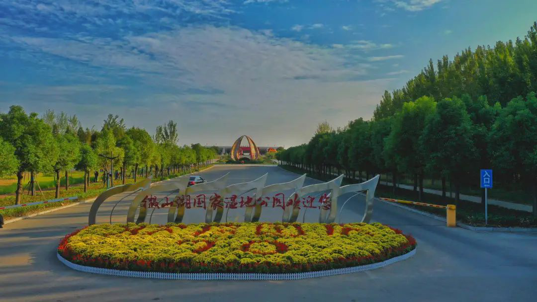 “云游”多彩濕地：濟(jì)寧微山湖濕地帶您領(lǐng)悟獨(dú)特的濕地之美！